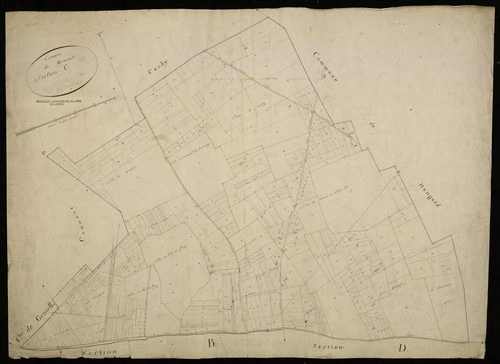 Plan du cadastre napoléonien - Domart-sur-la-Luce (Domart) : C
