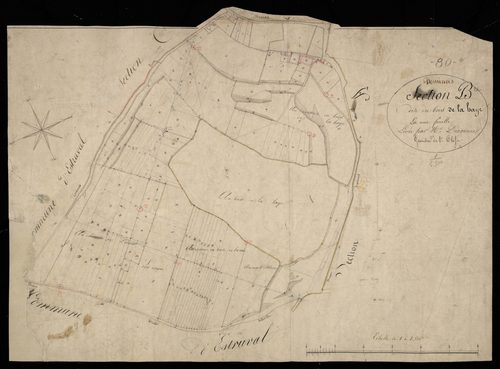 Plan du cadastre napoléonien - Dominois : Bois de la Haye (Le), B