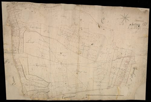 Plan du cadastre napoléonien - Dominois : D