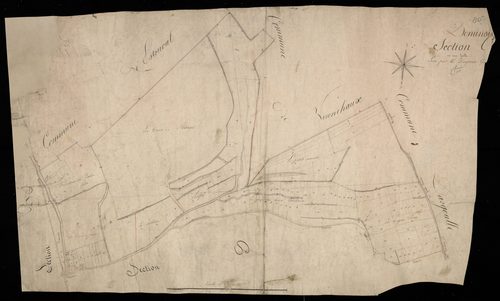 Plan du cadastre napoléonien - Dominois : C
