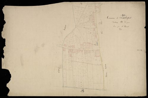 Plan du cadastre napoléonien - Domleger : D2