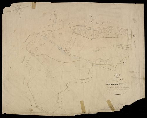Plan du cadastre napoléonien - Dompierre-sur-Authie (Dompierre) : Forêt (La) ; Fédoÿ (Le) ; Campagne de Rapechÿ (La), A1
