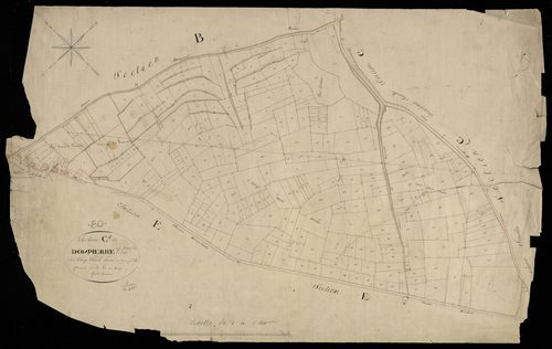 Plan du cadastre napoléonien - Dompierre-sur-Authie (Dompierre) : Camp Saint-Pierre (Le), C1