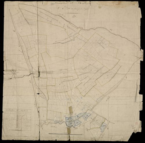 Plan du cadastre napoléonien - Doullens : Champ des Vignes (Le), E