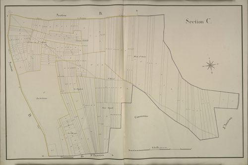 Plan du cadastre napoléonien - Dury : C