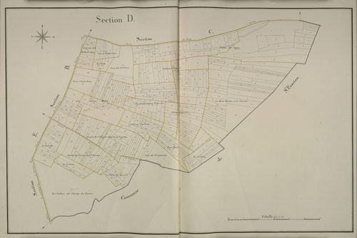 Plan du cadastre napoléonien - Dury : D