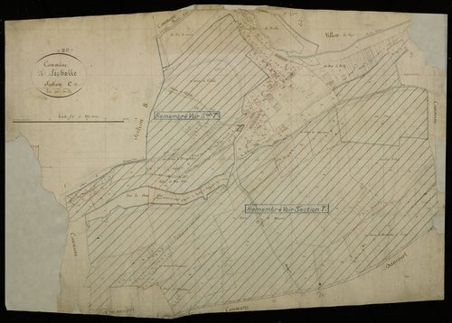 Plan du cadastre napoléonien - Echelle-Saint-Aurin (L') (Lechelle) : Saint-Aurin, C