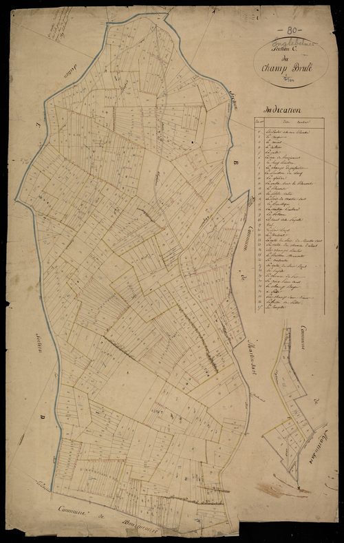 Plan du cadastre napoléonien - Englebelmer : Champ brûlé (Le), C