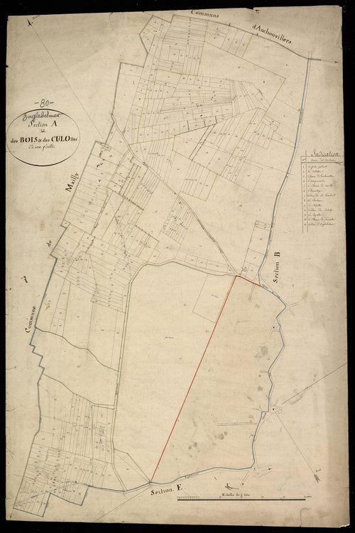 Plan du cadastre napoléonien - Englebelmer : Bois (Les) ; Tulottes (Les), A