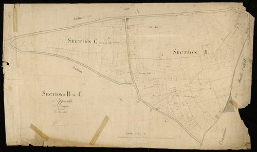 Plan du cadastre napoléonien - Eppeville : Verlaine, D et partie développée de D