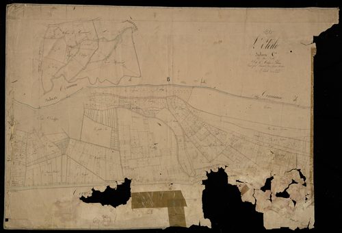 Plan du cadastre napoléonien - Etoile (L') : Moulins Bleus (Les), C