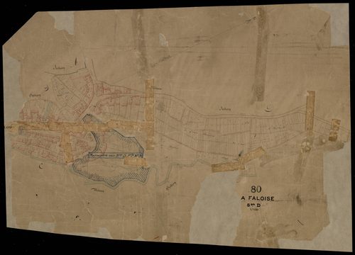 Plan du cadastre napoléonien - Faloise (La) (La Faloise) : Chef-lieu (Le), D1 développement