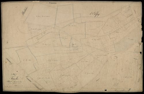 Plan du cadastre napoléonien - Faverolles : Bois planté (Le), C