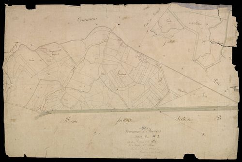 Plan du cadastre napoléonien - Favieres : Routieux (Les) ; Senses (Les), A1