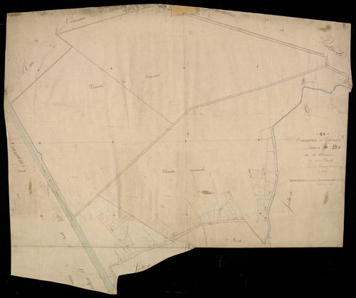 Plan du cadastre napoléonien - Favieres : Marais (Le), B
