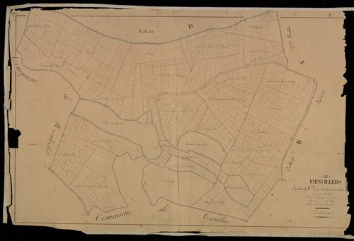 Plan du cadastre napoléonien - Fienvillers : Boutillières (Les) ; Vallée de Salency (La), C