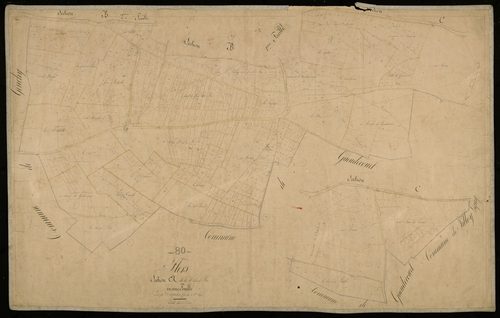 Plan du cadastre napoléonien - Flers : Moulin de Flers (Le), A
