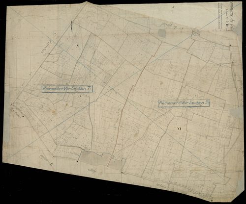 Plan du cadastre napoléonien - Folies (Folie) : C et D