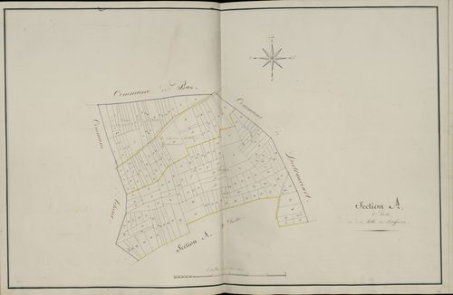 Plan du cadastre napoléonien - Atlas cantonal - Forceville : Solle des Buissons (La), A1