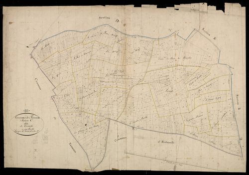 Plan du cadastre napoléonien - Forceville : Lérivalle, C