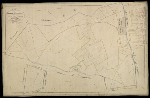 Plan du cadastre napoléonien - Frettecuisse : Bois Ducrocq (Le), A