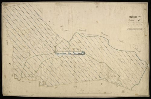 Plan du cadastre napoléonien - Fricourt : Bois de Bécordelle (Le), D