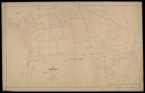 Plan du cadastre napoléonien - Gapennes : Ursulines (les), E