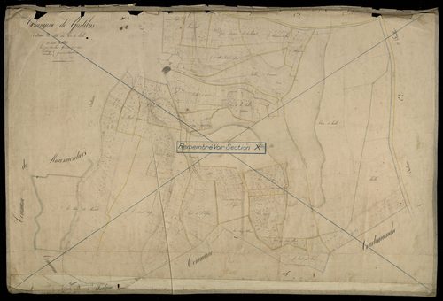 Plan du cadastre napoléonien - Gratibus : Bois de Halle (Le), B