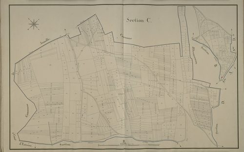 Plan du cadastre napoléonien - Grattepanche : C