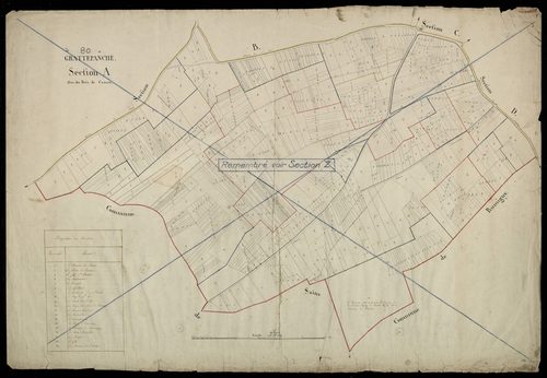 Plan du cadastre napoléonien - Grattepanche : Bois de Camon (Le), A