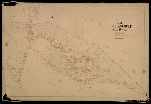 Plan du cadastre napoléonien - Hallencourt : Chef-lieu (Le), D1