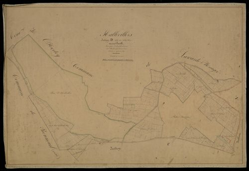 Plan du cadastre napoléonien - Hallivillers : Chef-lieu (Le), D