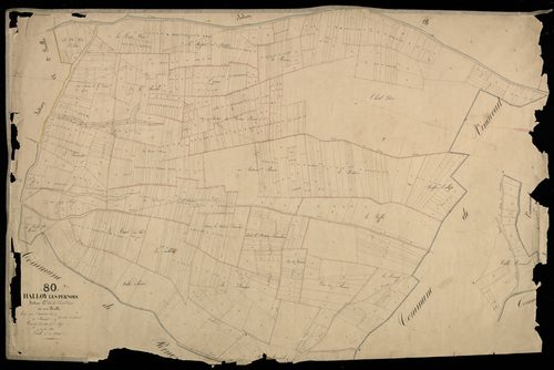 Plan du cadastre napoléonien - Halloy-Les-Pernois (Hallois les Pernois) : Hôtel Dieu (L'), C