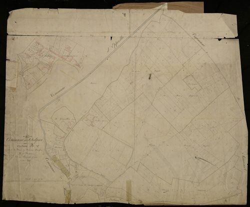 Plan du cadastre napoléonien - Ham (Saint-Sulpice) : Pâture du Buisson Langlet (La), B et partie développée de B