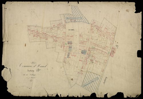 Plan du cadastre napoléonien - Hamel (Le) (Hamel) : Village (Le), D (développement)