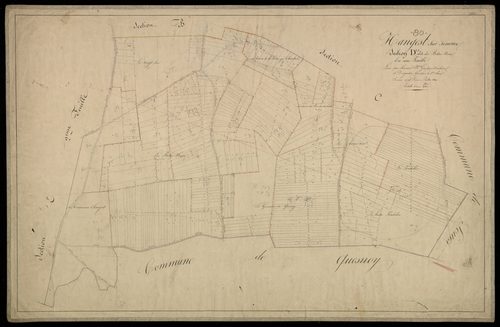 Plan du cadastre napoléonien - Hangest -sur-Somme (Hangest-sur-Somme) : Bêtes Noiex (Les), D