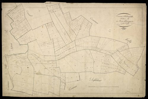 Plan du cadastre napoléonien - Hedauville : Bois d'Héroguère (Le), A