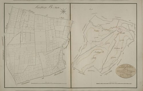 Plan du cadastre napoléonien - Hem-Hardinval (Hem) : tableau d'assemblage ; parcellaire