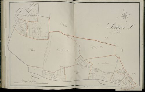 Plan du cadastre napoléonien - Atlas cantonal - Herissart : Bois(Le), D