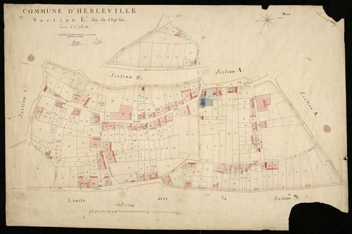 Plan du cadastre napoléonien - Herleville : Chef-lieu (Le), E
