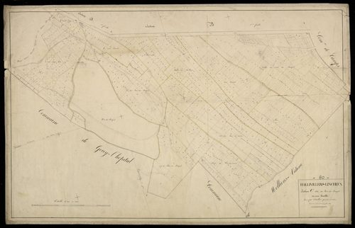 Plan du cadastre napoléonien - Hornoy-le-Bourg (Hallivillers-Lincheux) : Bois du Buquet (Le), C