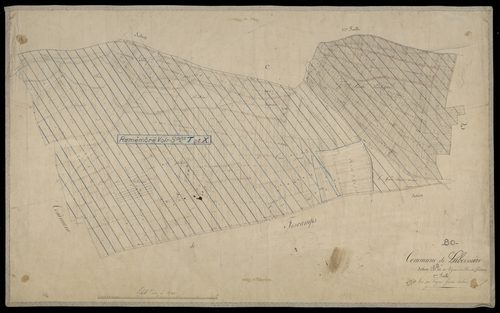 Plan du cadastre napoléonien - Laboissiere-en-Santerre (Laboissière) : Vignes (Les) ; Bois de Boileaux (Le), B2