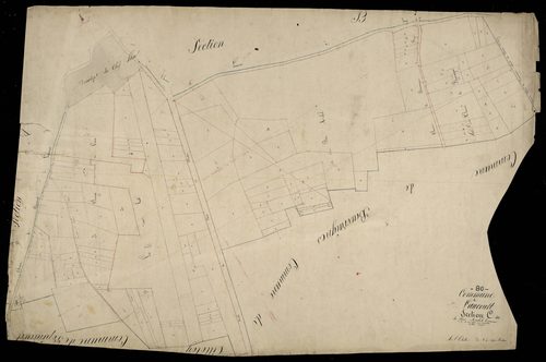 Plan du cadastre napoléonien - Laucourt : Bois Michel (Le), C
