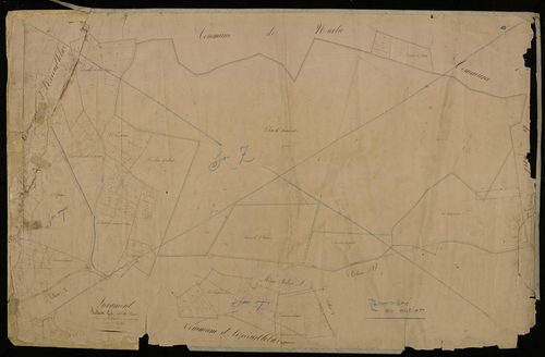 Plan du cadastre napoléonien - Lieramont : Bois (Le), A