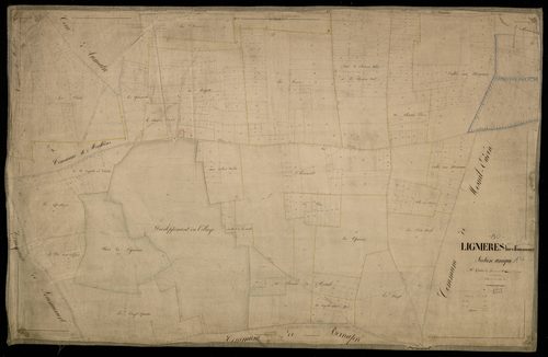 Plan du cadastre napoléonien - Lignieres-en-Vimeu (Lignières hors Fouancourt) : section unique