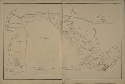 Plan du cadastre napoléonien - Long : Catelet (Le), D