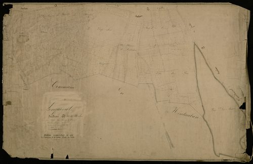 Plan du cadastre napoléonien - Longueval : Moulins (Les), D