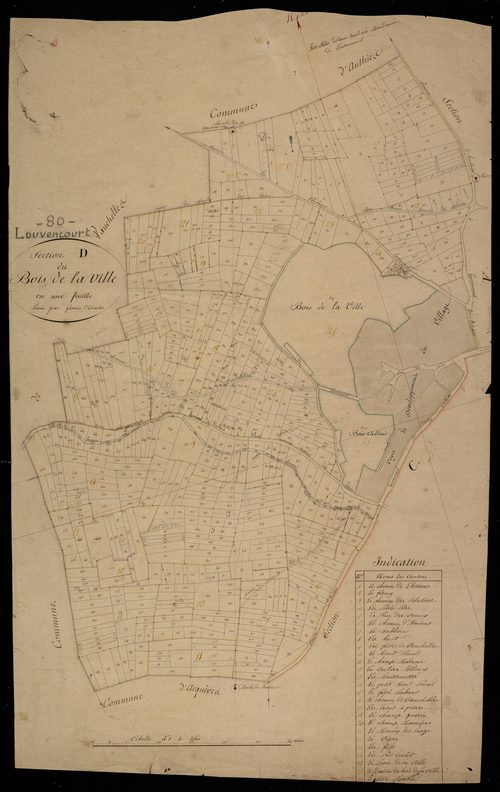 Plan du cadastre napoléonien - Louvencourt : Bois de la Ville (Le), D