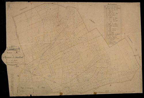 Plan du cadastre napoléonien - Louvencourt : Chemin de Bailleuil (Le), A