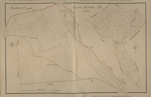 Plan du cadastre napoléonien - Lucheux : C2 et partie de D1